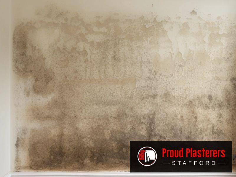 Plastering contractor Stafford ST16 Staffordshire