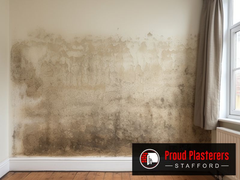 ST16 Staffordshire Skimming Stafford