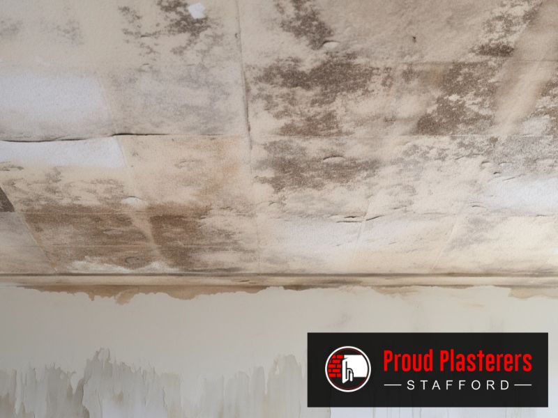 Staffordshire ST16 Plastering Ceiling Stafford